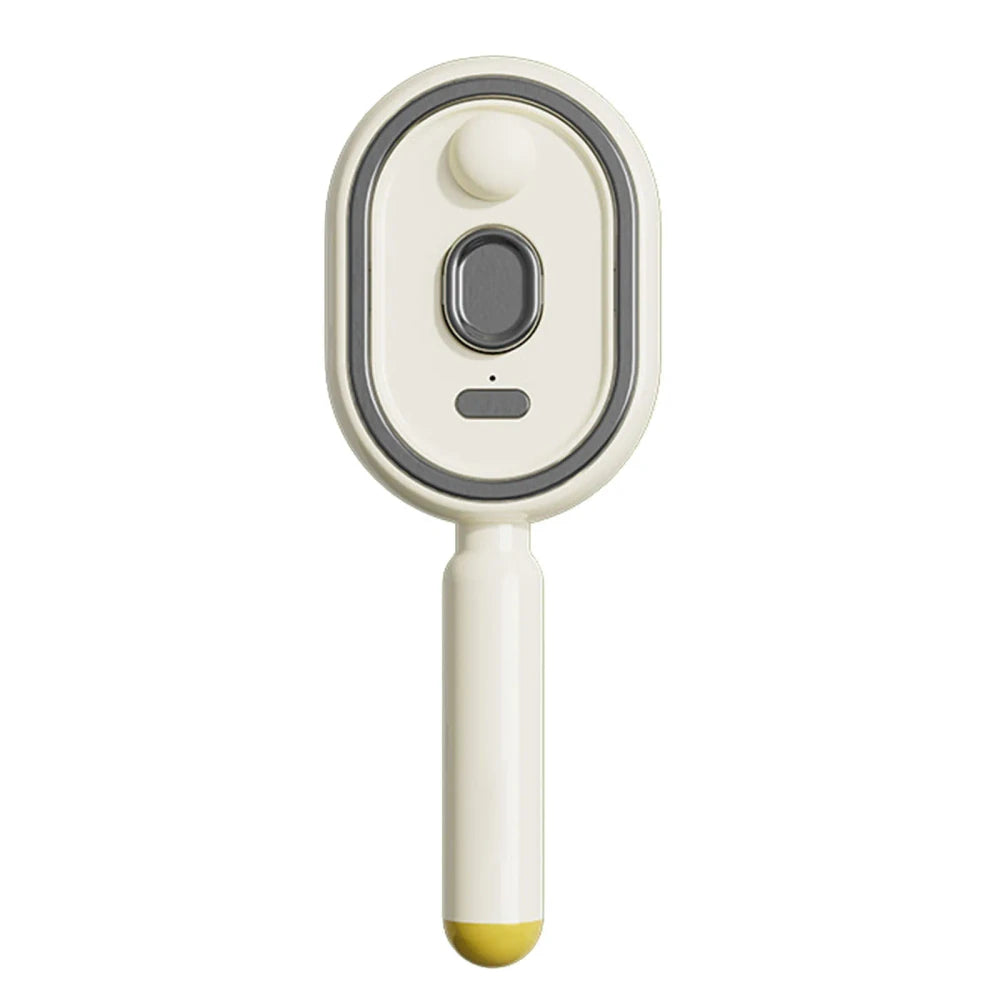 Rechargeable Electric Steam Hair Brush