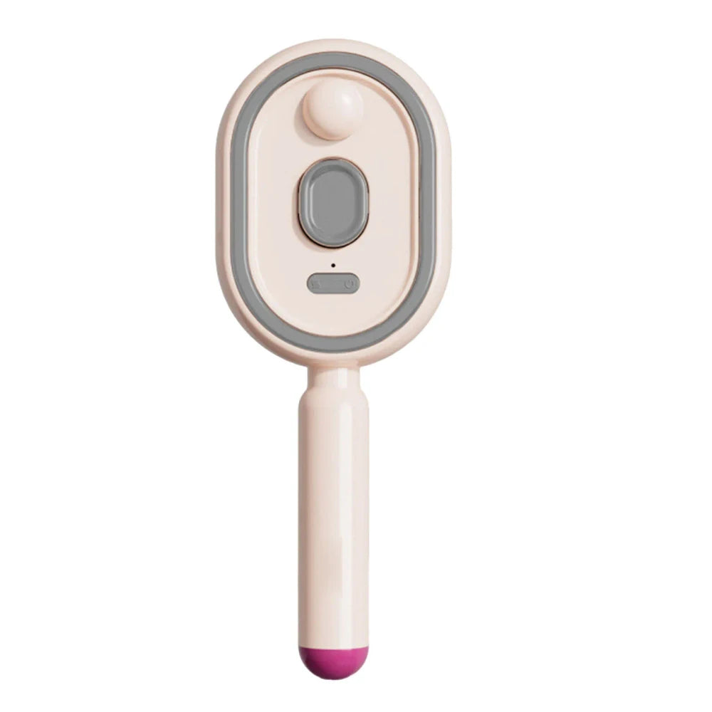 Rechargeable Electric Steam Hair Brush